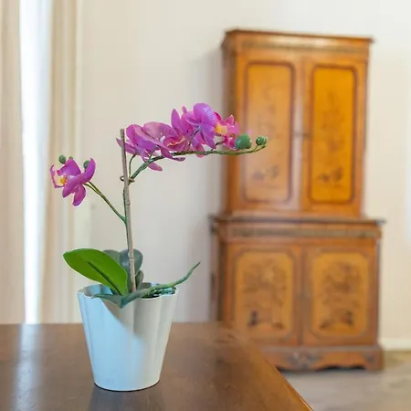 Casa Margherita Two Cosy